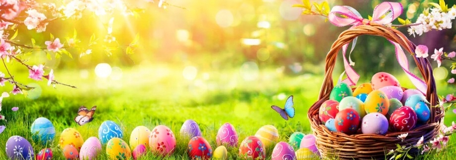 WIELKANOCNA Rzeżucha nasiona wielkanoc, zajączek KRAFT 10-14 dni Marka inna