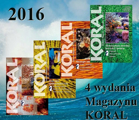 

Magazyn Koral 2016 4 wydania