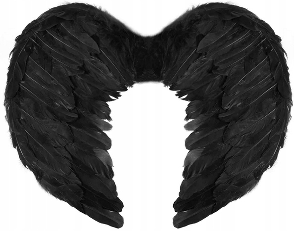 SKRZYDŁA Upadły Anioł CZARNE Diablica Kruk Strój Halloween Karnawał 45x35cm