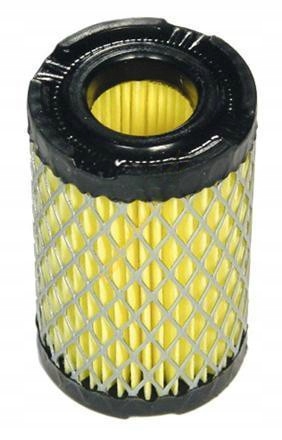 

Filtr Powietrza Tecumseh 35066 Spectra Lev LV 80