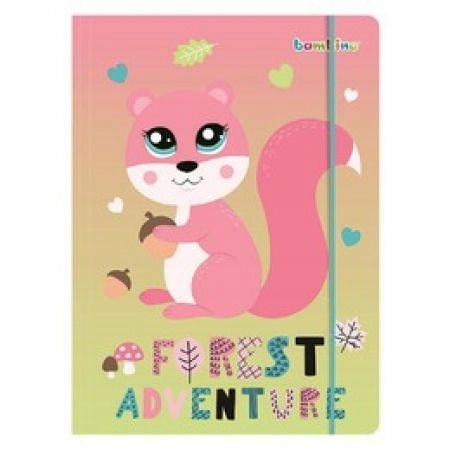 TECZKA Z GUMKĄ A4 NA RYSUNKI DLA DZIEWCZYNKI WIEWIÓRKA