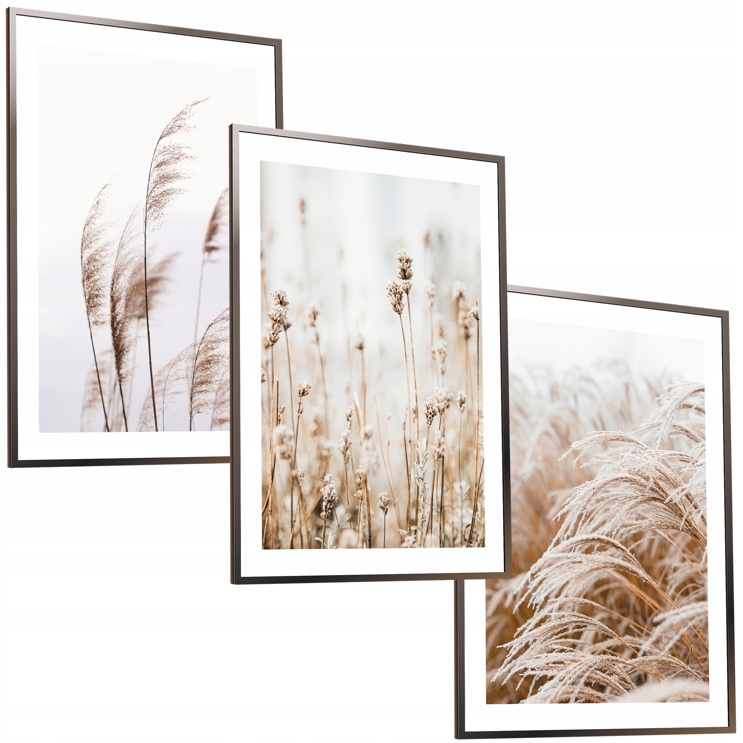 

30x40 Obrazy Ramie Plakaty Ramka Boho Trawa Pampas