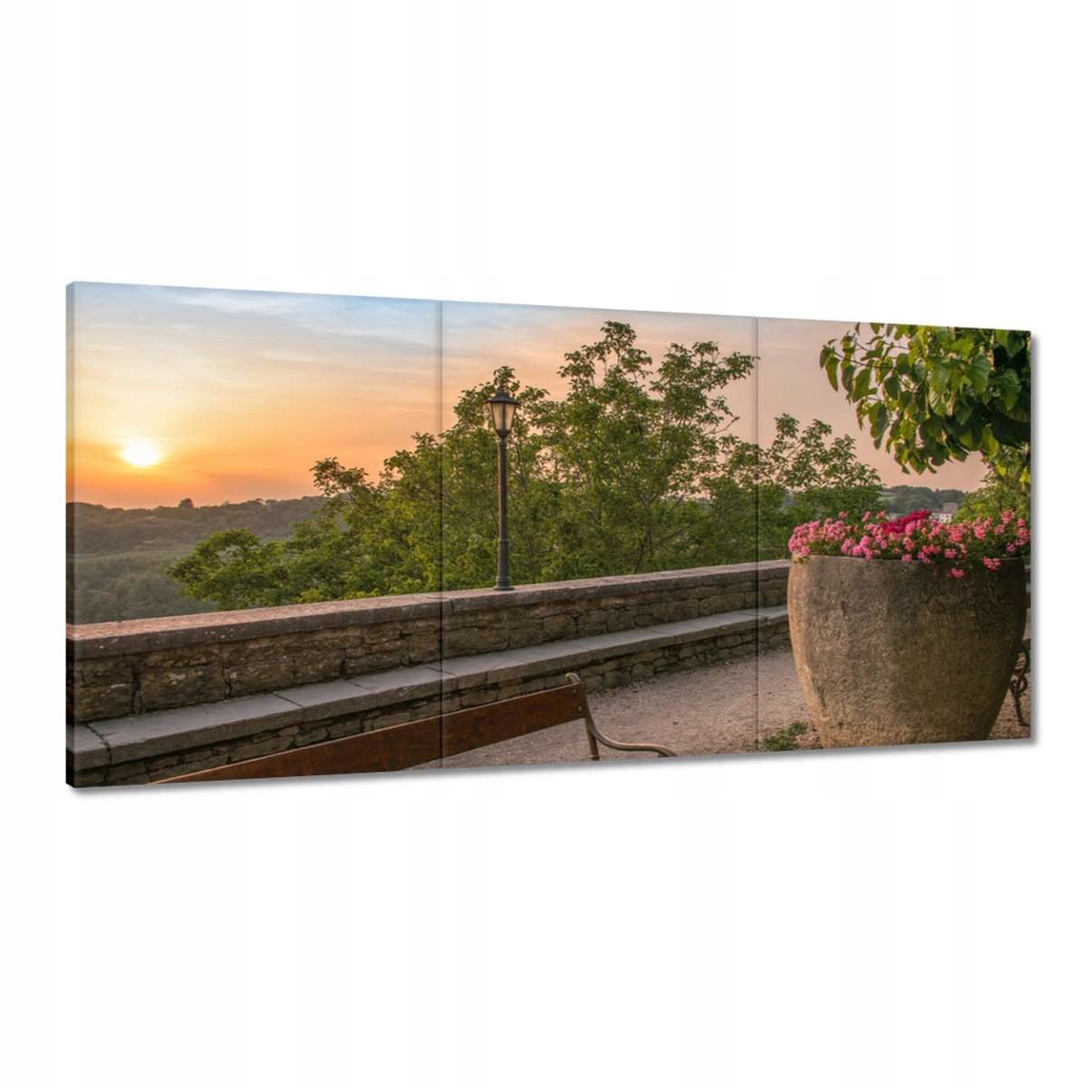 Obrazy 180x90 Západ slnka Kvety