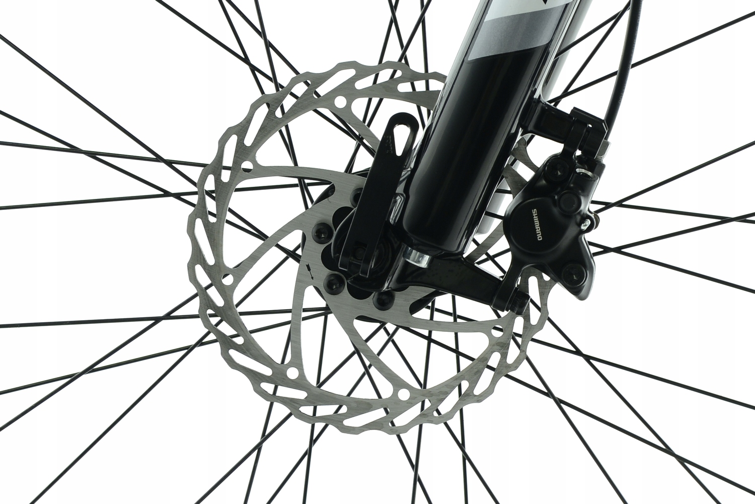 Rower MTB Kands 29 Energy 700 r19