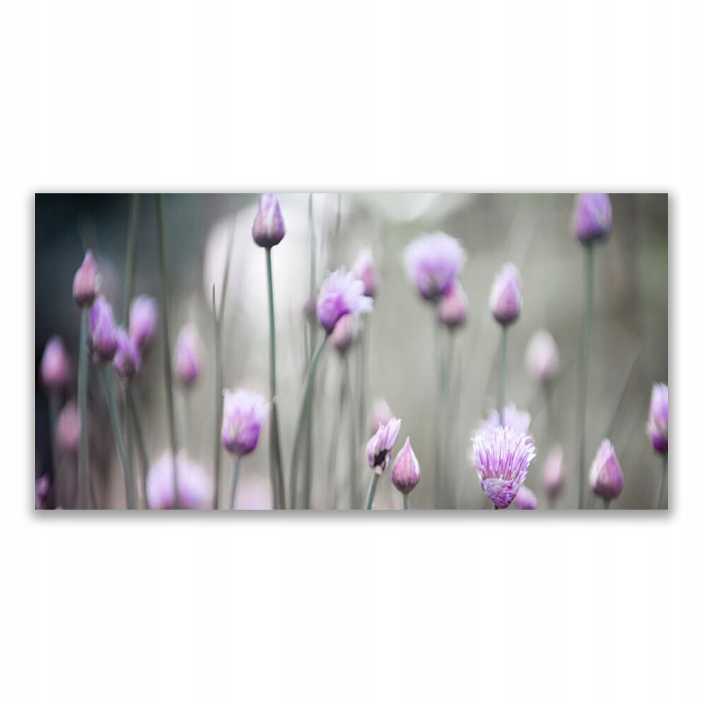 

Obraz na prezent 120x60 Kwiaty Polne Łąka Natura