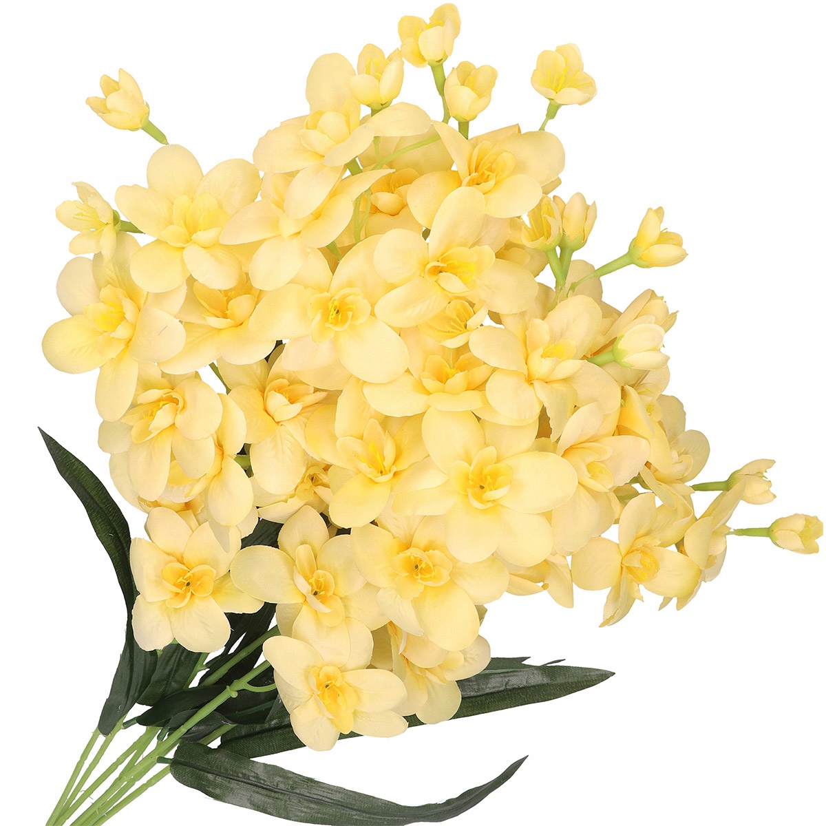 

Storczyk Orchidea Gałązki Piękny Duży Bukiet XXL