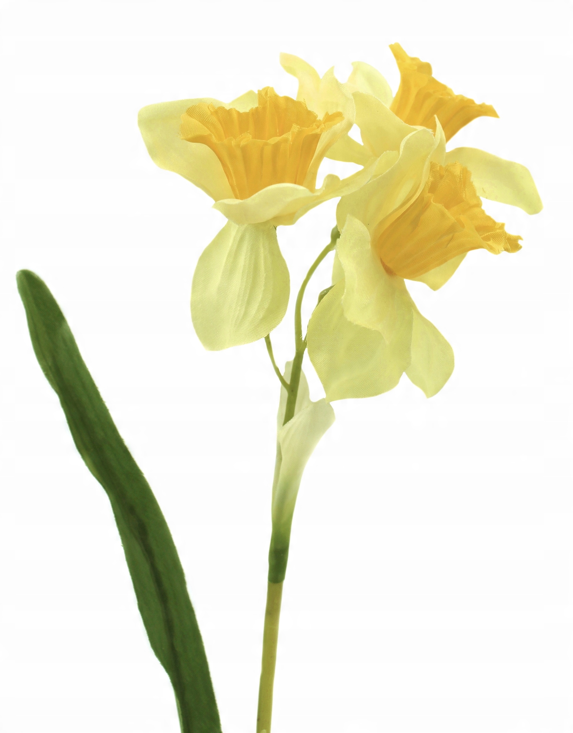 

Narcyze Gałązka Pojedyncza 3 Kwiaty 45cm