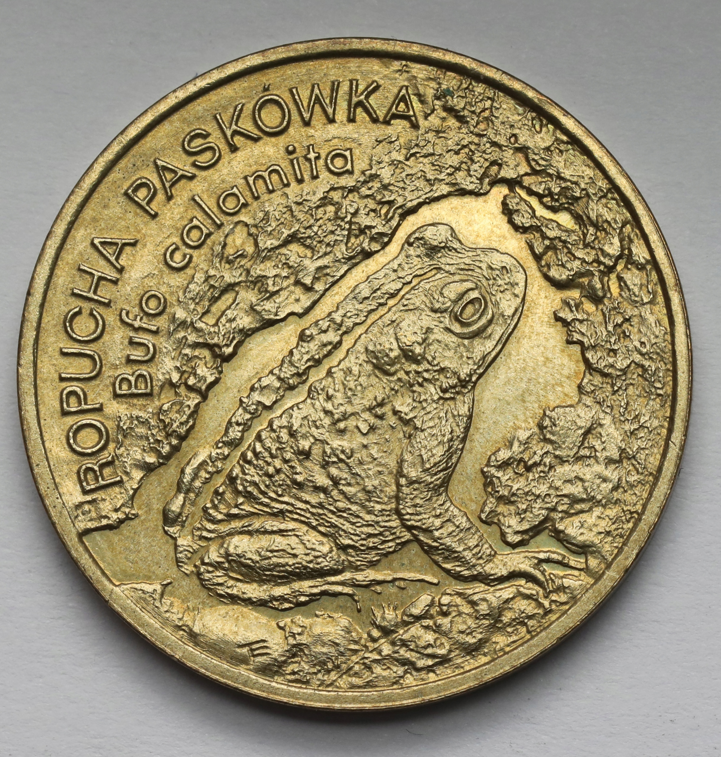 2002. 2 złote 1998 Ropucha