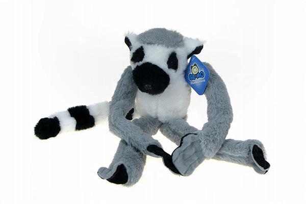 

Zoo: maskotka Lemur - 37cm - 16804 magnesy