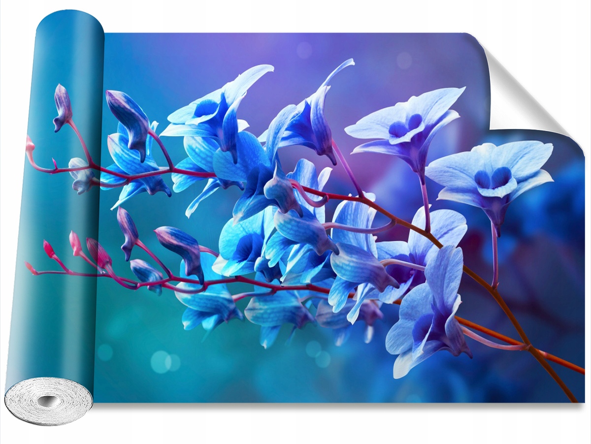 

Tapeta Samoprzylepna Orchidea Niebieski 104x70