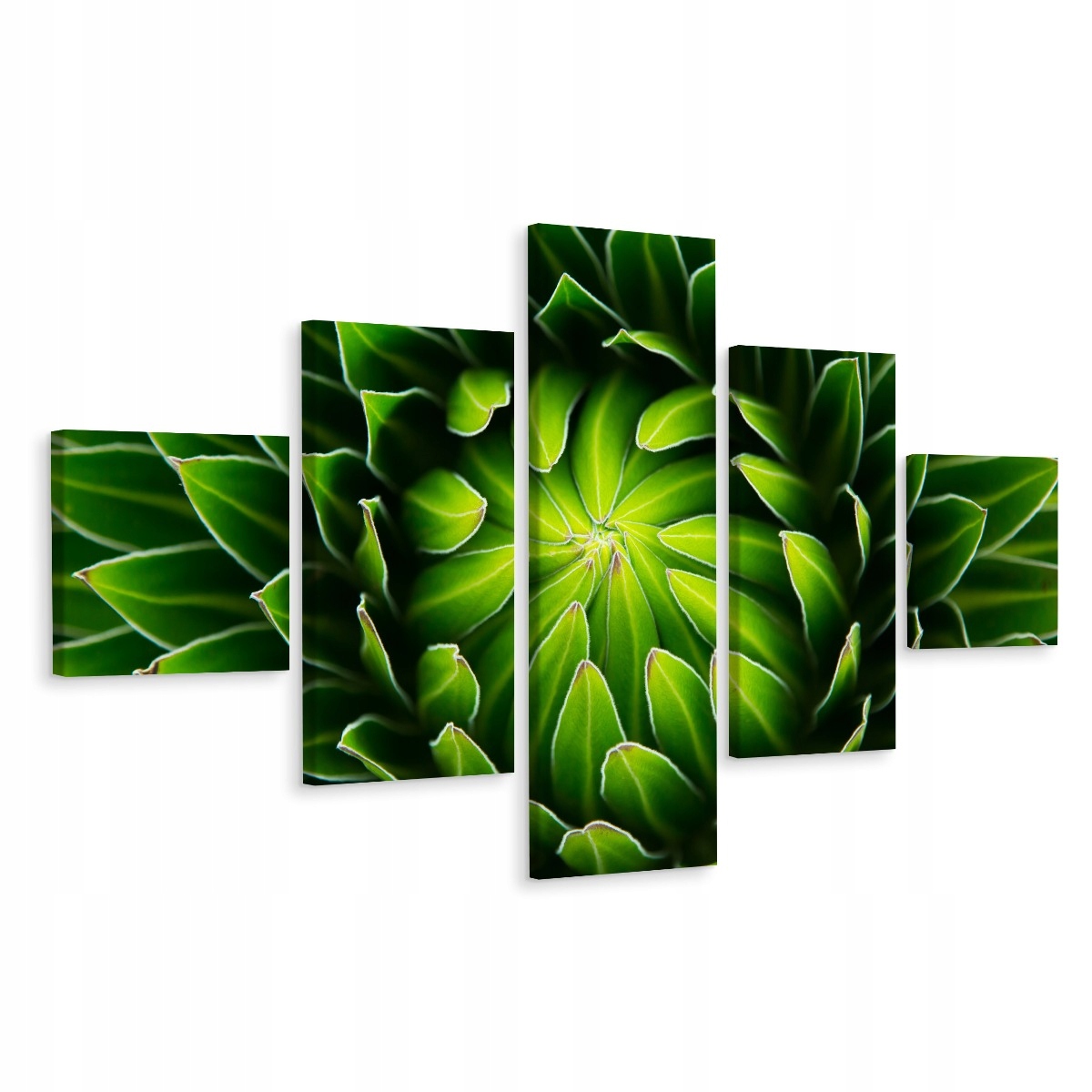 Obraz Polyptych Rostlina Makro Příroda Dekor 150x90