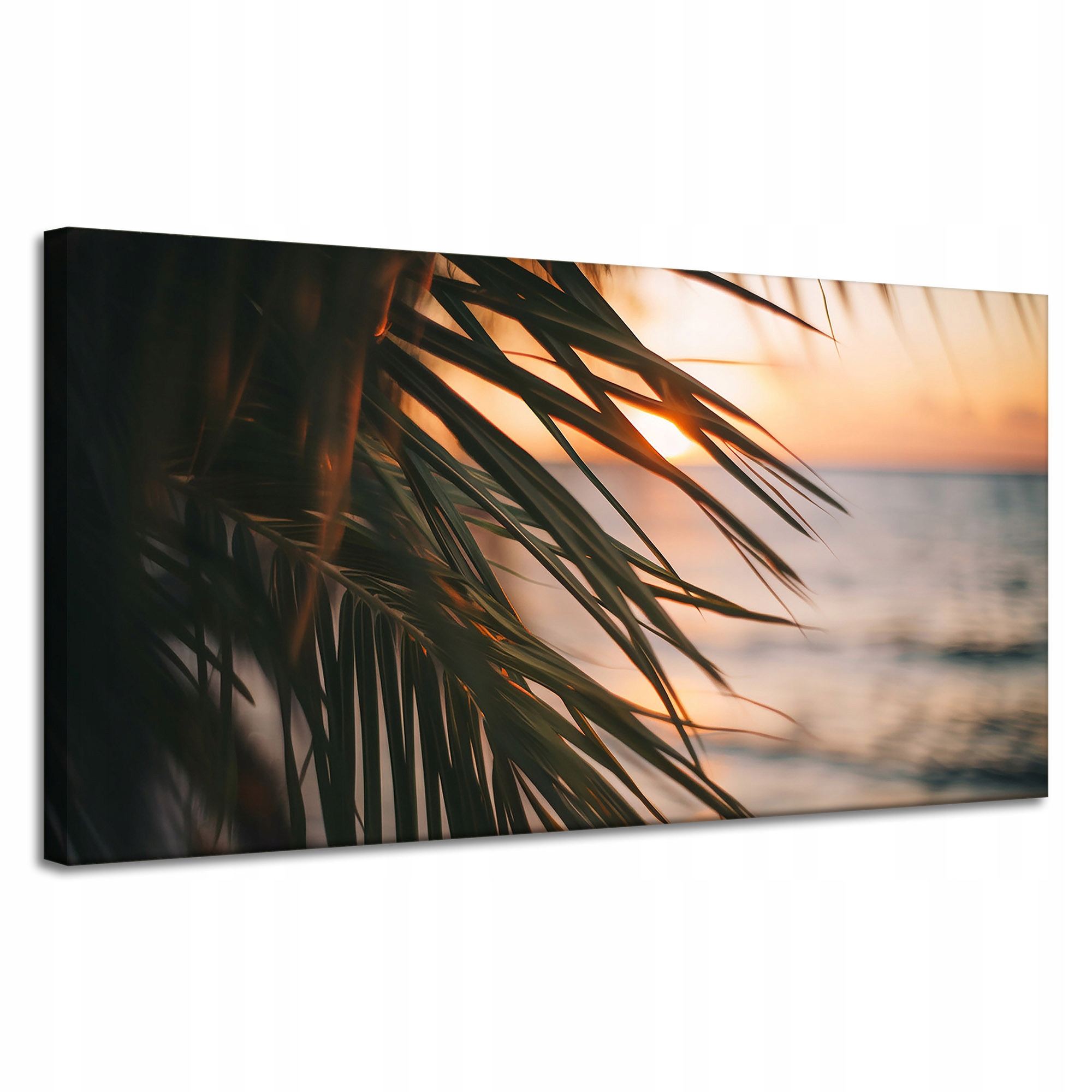 Obraz na plátně Příroda Pláž Palma Moře Západ Slunce 120x60