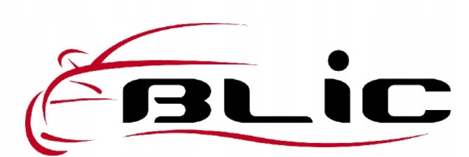 PROGI REPERATURKI PROGU CITROEN C1 05 12 KOMPLET Part manufacturer Blic