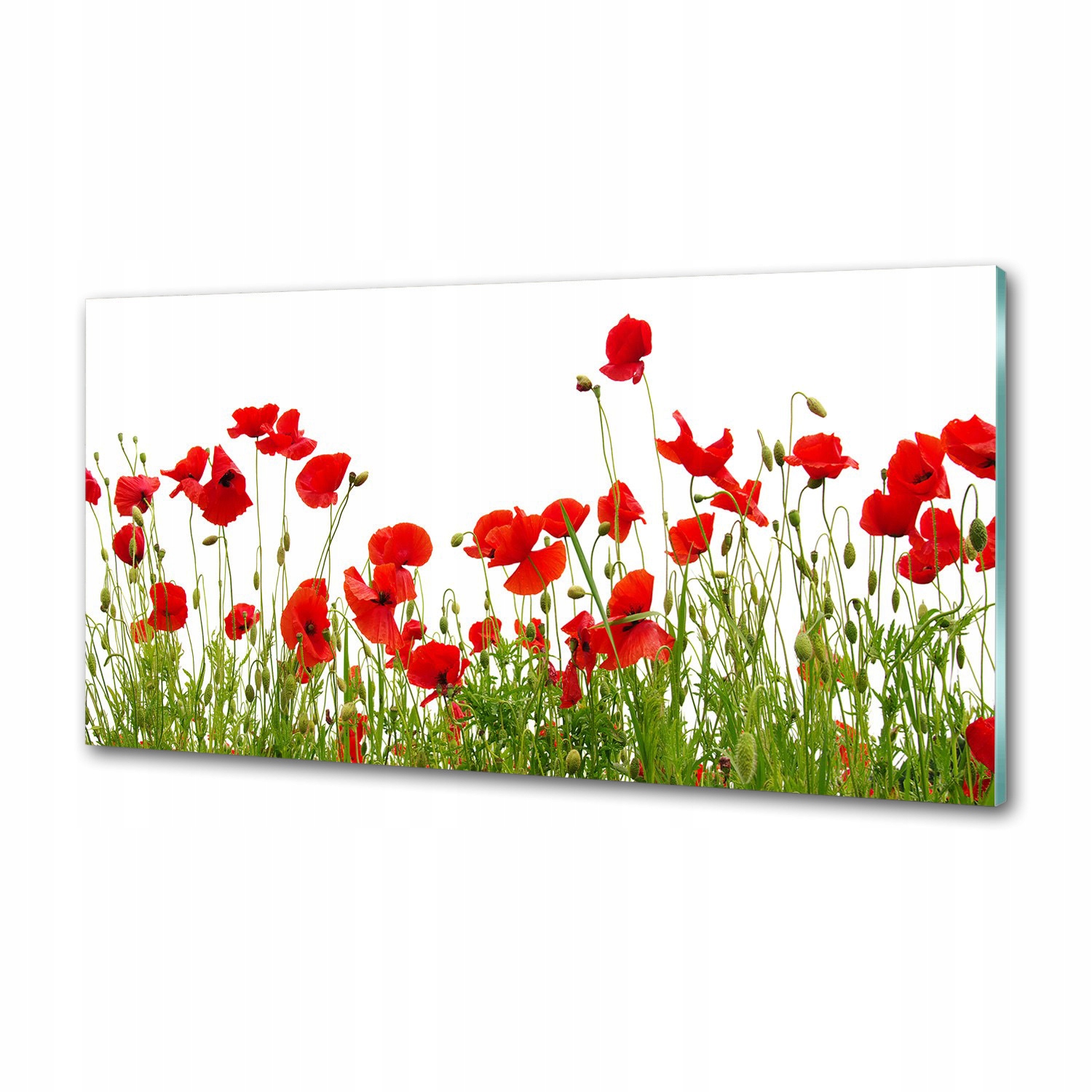 Sklenený panel do kuchyne Maki 100 x 50 cm Lepidlo