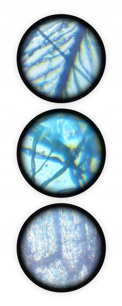 Mikroskop z akcesoriami 15 Doświadczeń Nauka i Zabawa Zoom x400 Buki Bohater / Bajka brak