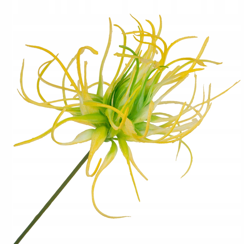 

Oset Ozdobny Gałązka Na Stroik Sztuczne Kwiaty