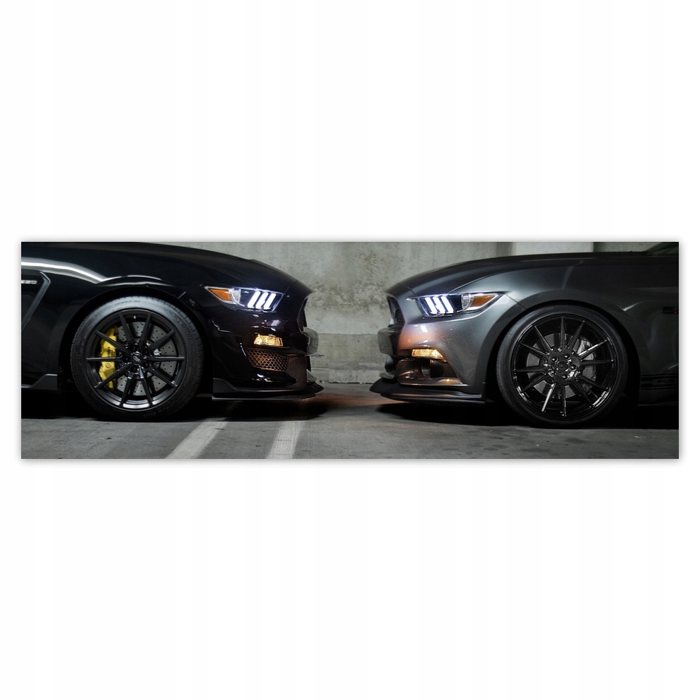 

Naklejki 200x66 Ford Mustang Made in Usa