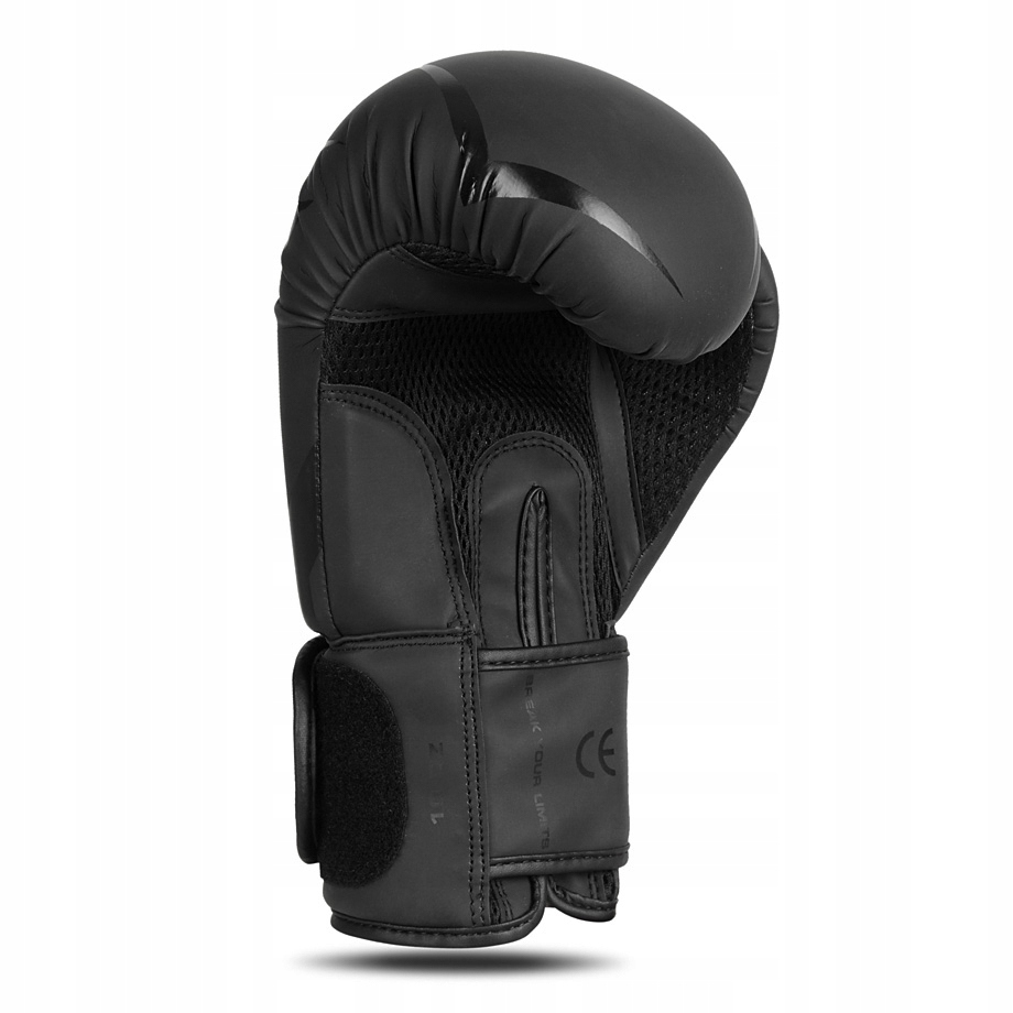 Rękawice bokserskie MAT BLACK BUSHIDO 12 oz Model B-2v22
