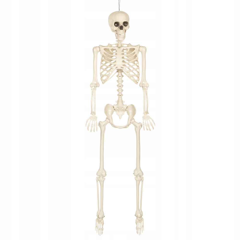 Dekorácia skeletón na zavesenie 160 cm