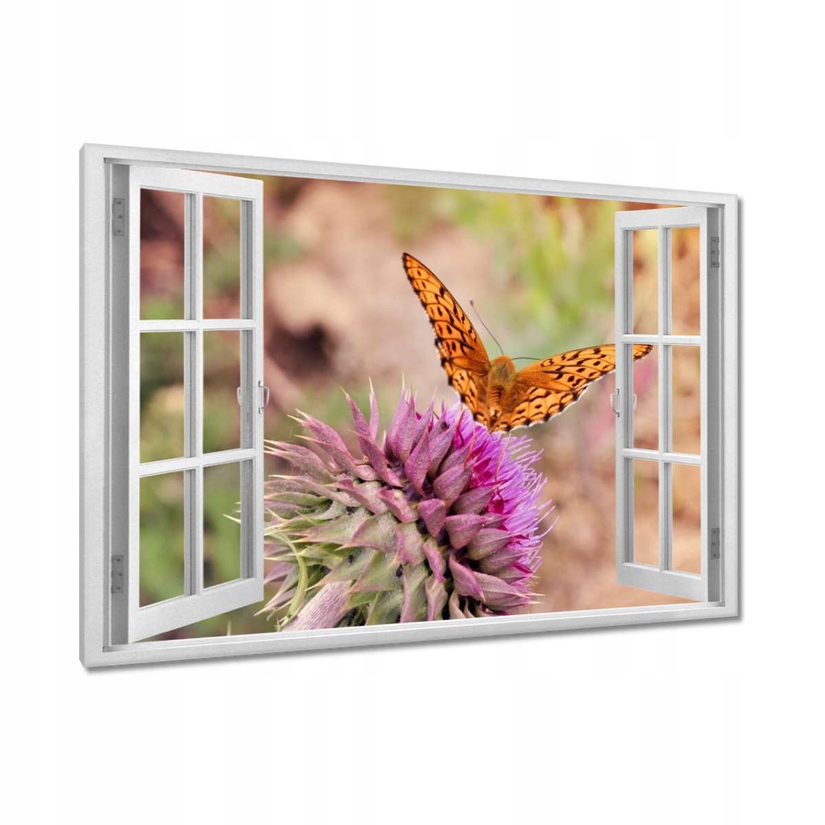 Obrazy 120x80 Motýlek