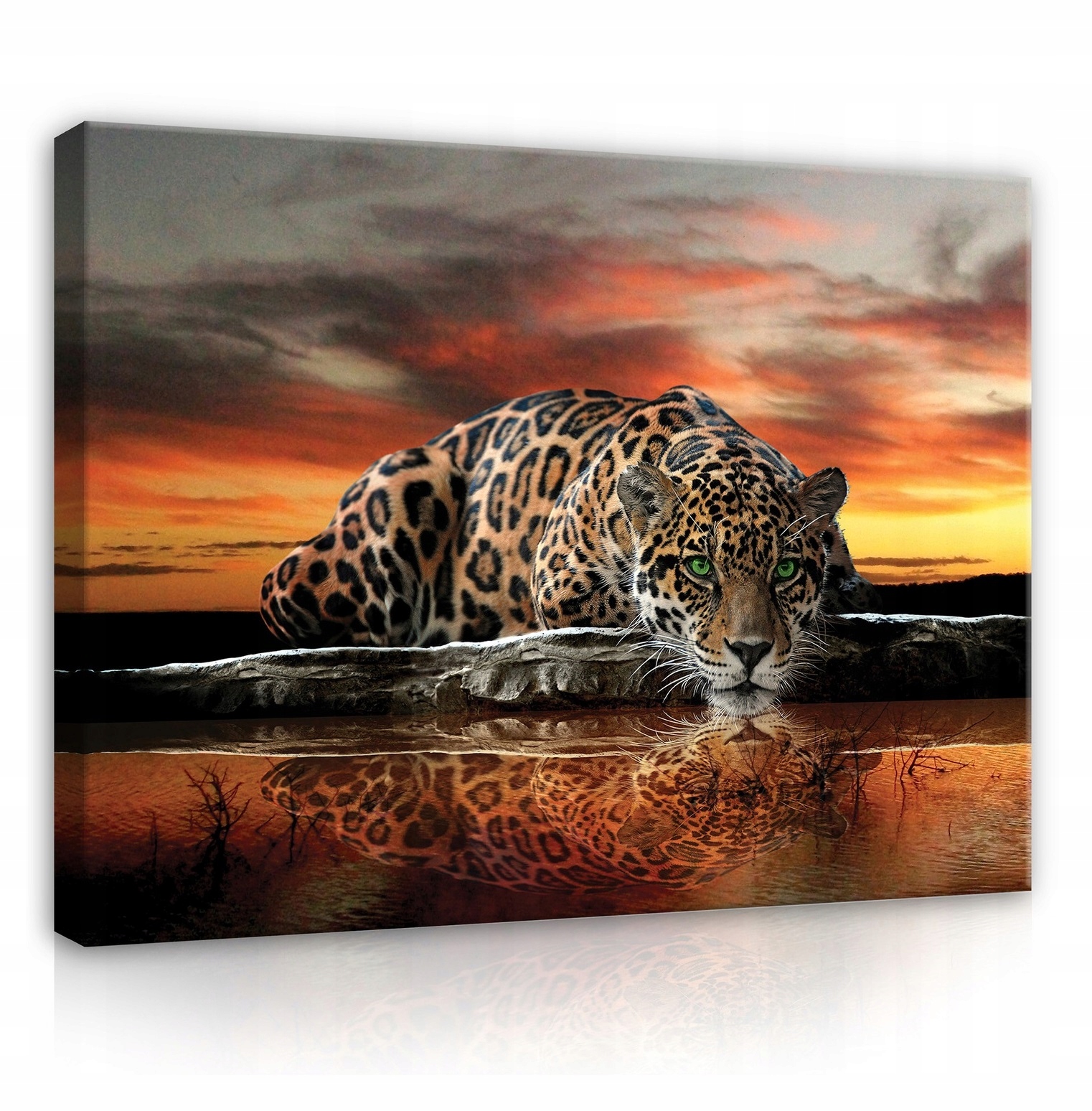 

Obraz do sypialni Jaguar tygrys zwierzęta 100x70