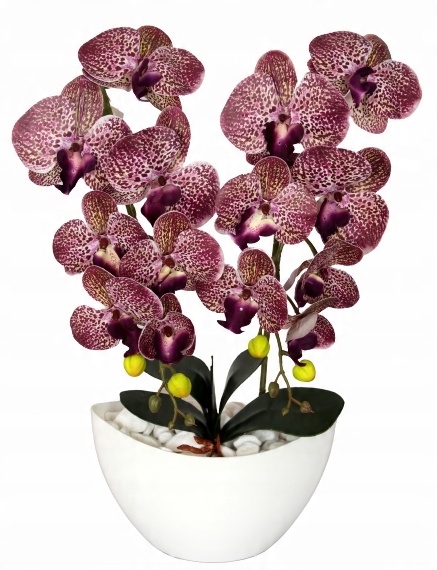 

Storczyk Sztuczny Storczyki Orchidea Kwiat Kwiaty