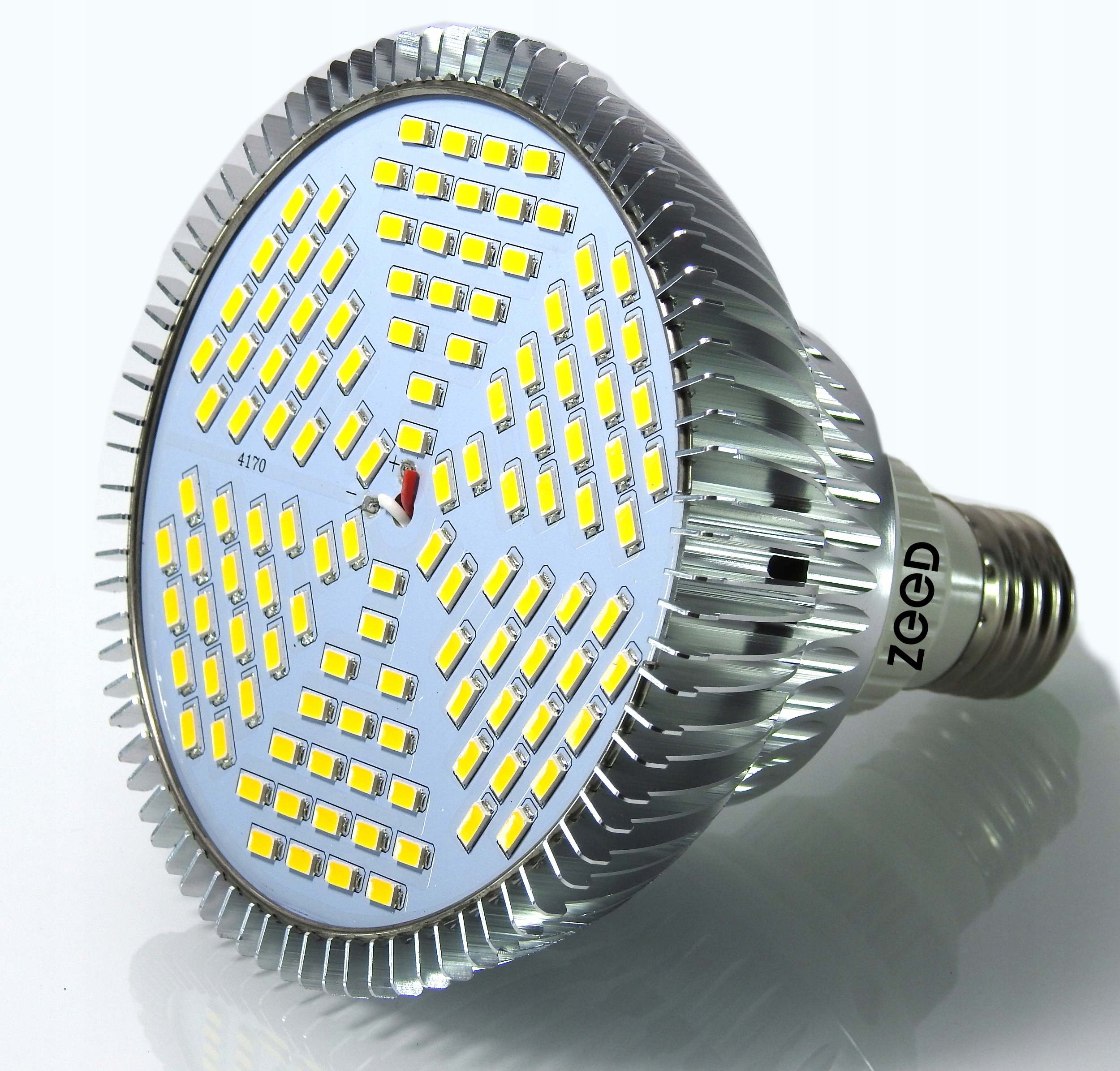 ŻARÓWKA DO ROŚLIN LED GROW BIAŁA FULL SPECTRUM 80W Rodzaj oświetlenia żarówka