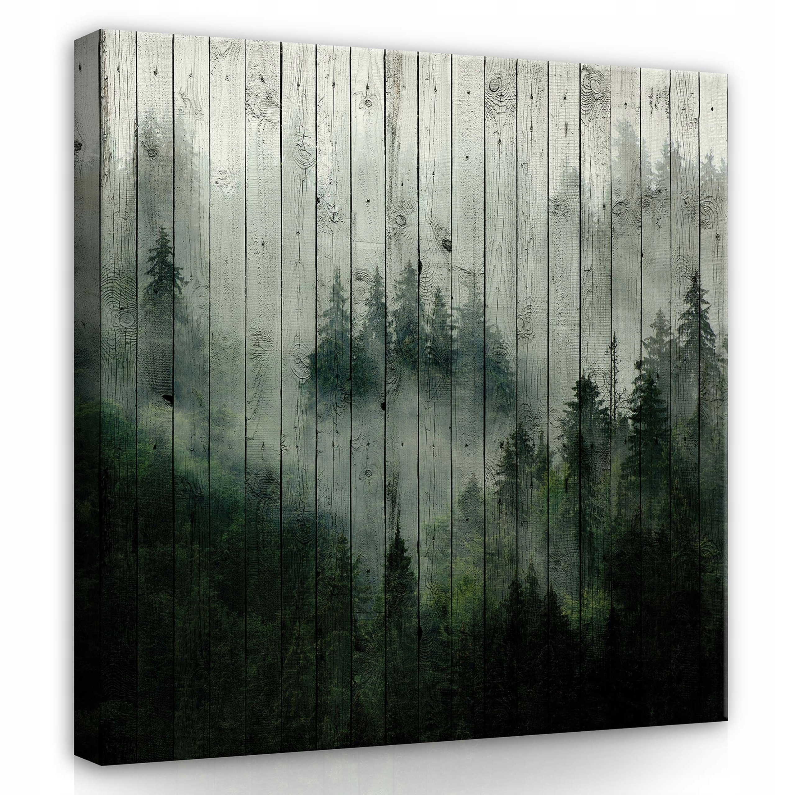 Obraz 80x80 Mlžný les mystika příroda klid hloubka jehličnaté stromy