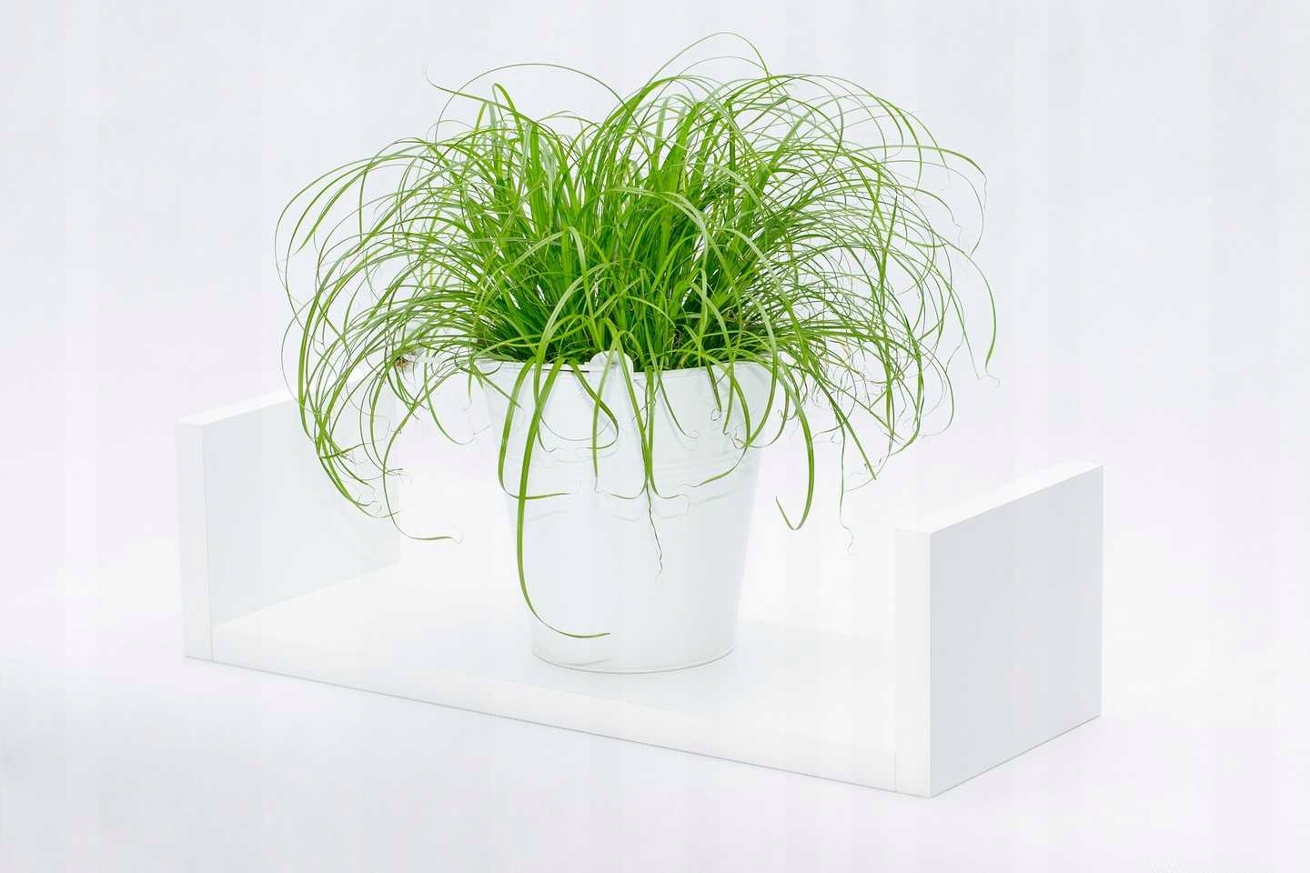 PÓŁKA WISZĄCA 70cm z boczkami komplet 3 sztuki Wysokość mebla 12 cm