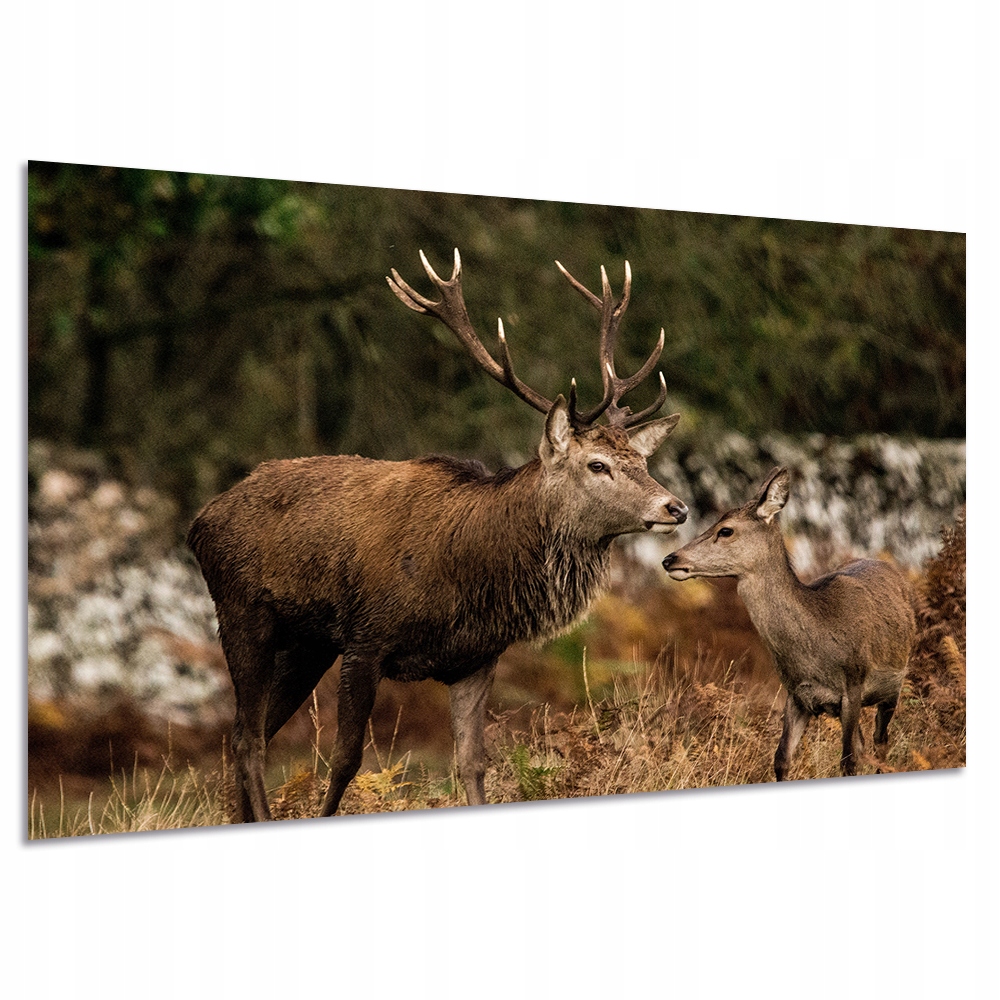 

Obraz Jeleń 3 sarna zwierzęta natura 120x80