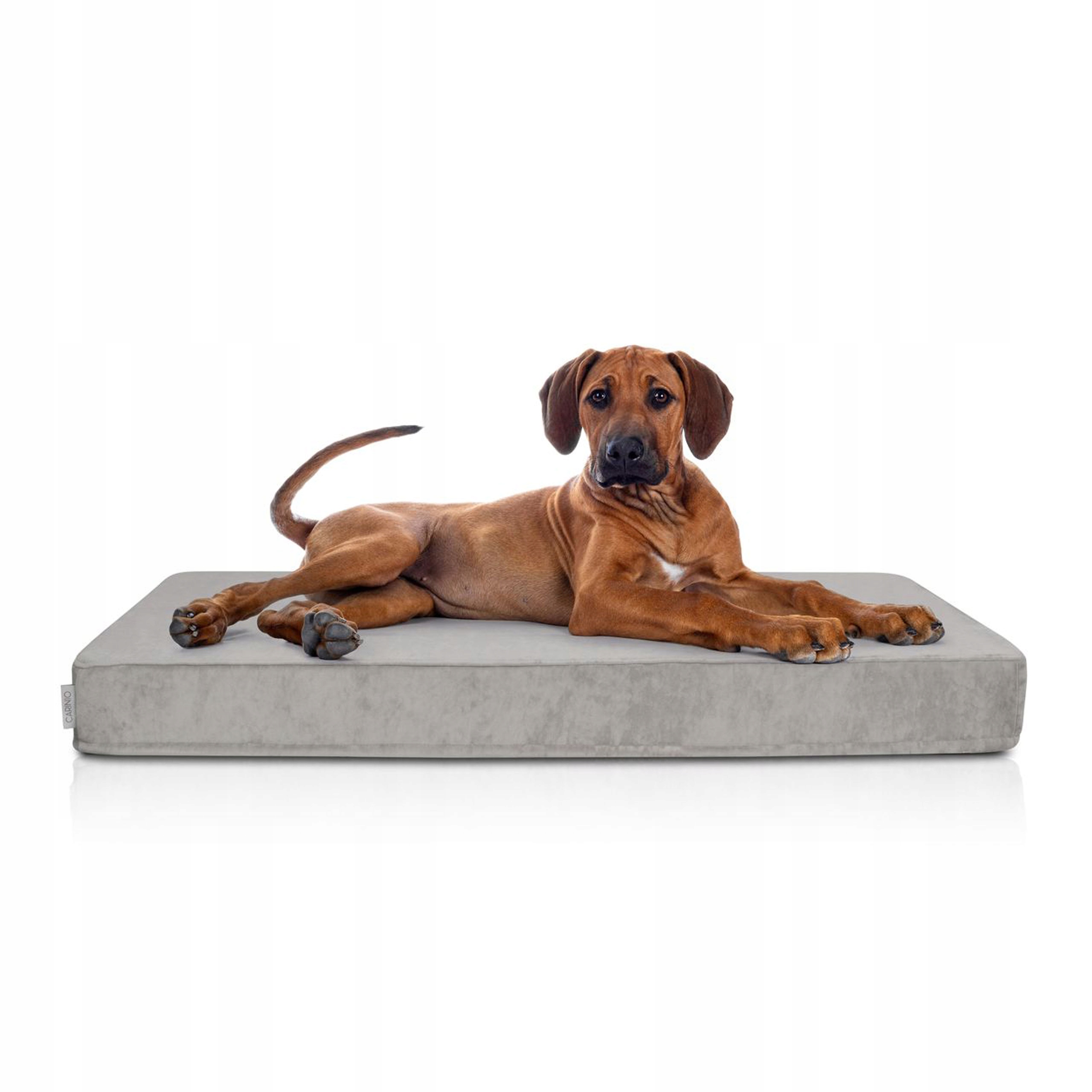 Matrace pro psa Rest Polský výrobek Pohodlný Komfortní Lehký 65 cm x 104 cm