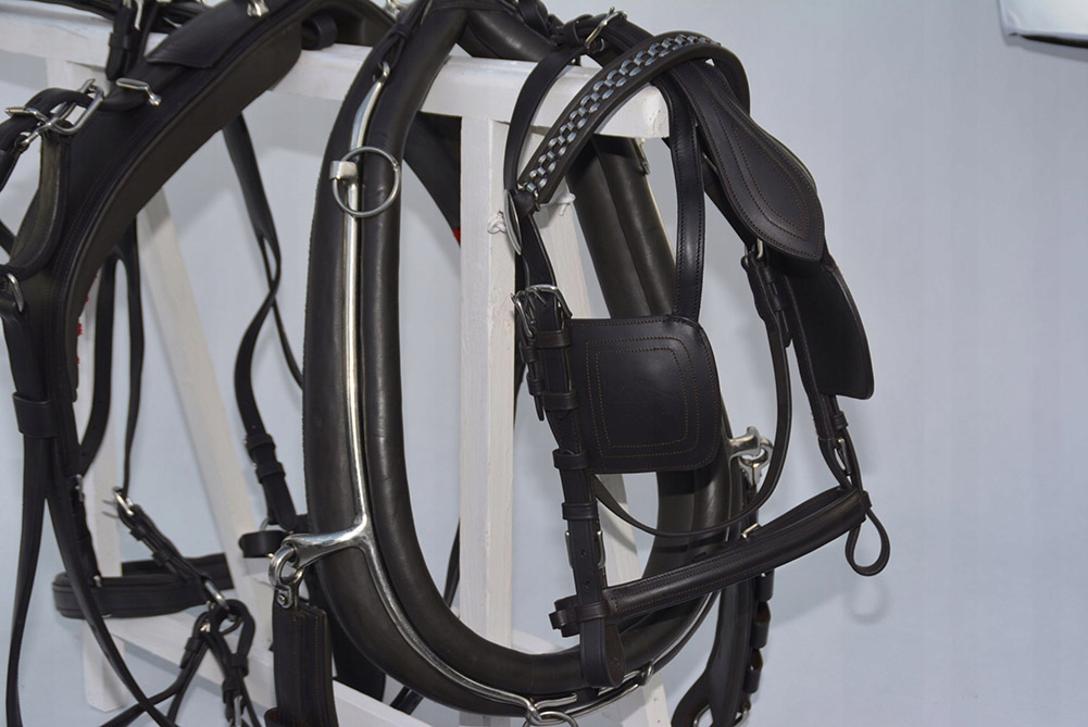 Anglický Chomáčový Postroj Roz, Full