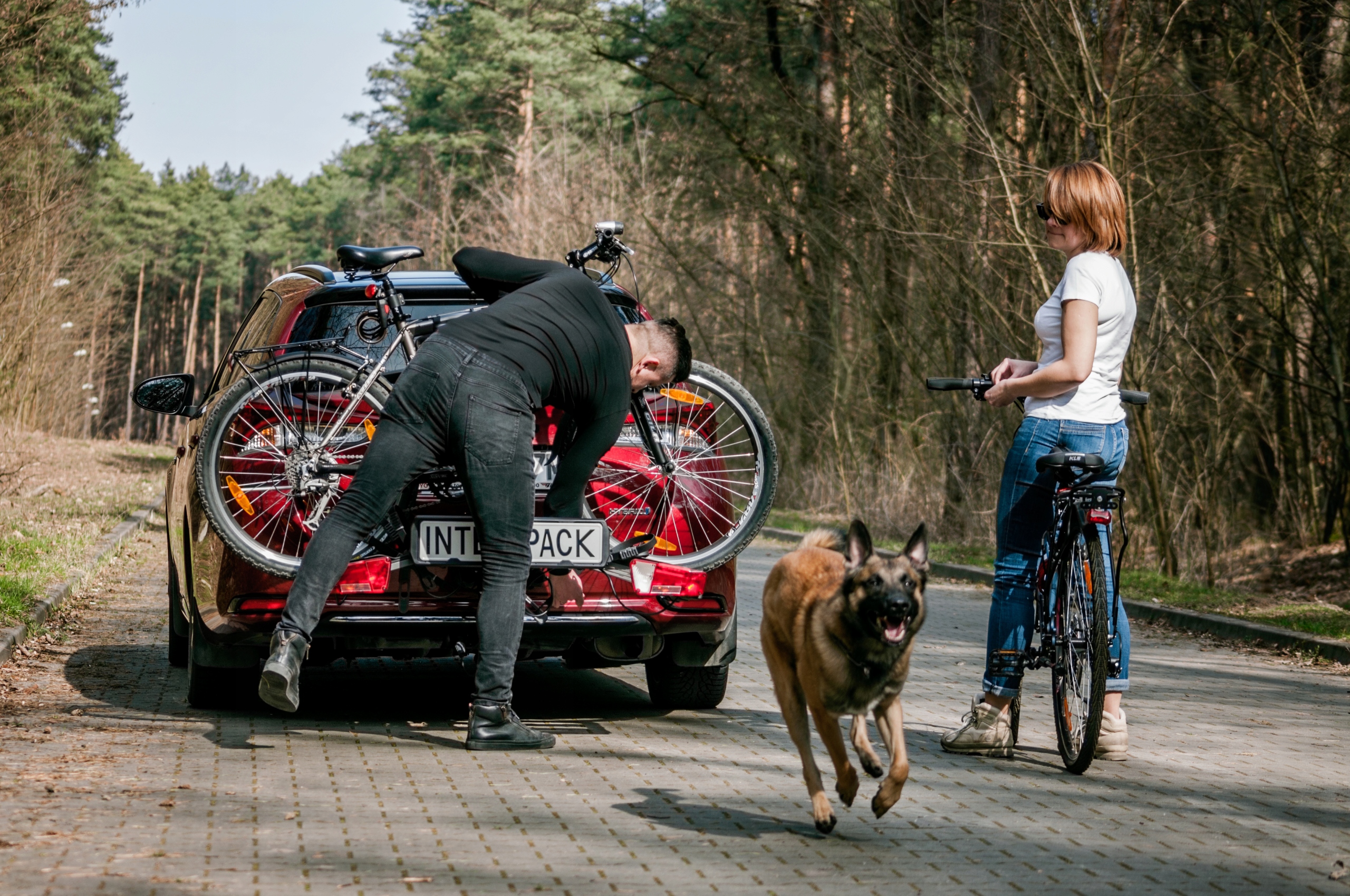 Bagażnik do przewozu 2 rowerów New Spider 2E InterPack platforma Model New Spider 2E