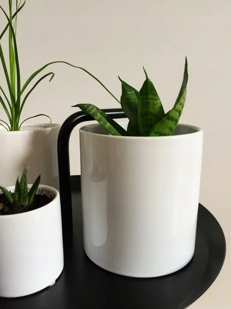 BIAŁA NOWOCZESNA OSŁONKA DONICZKA CERAMICZNA PIANO - WALEC 8X8 CM Rodzaj osłonka