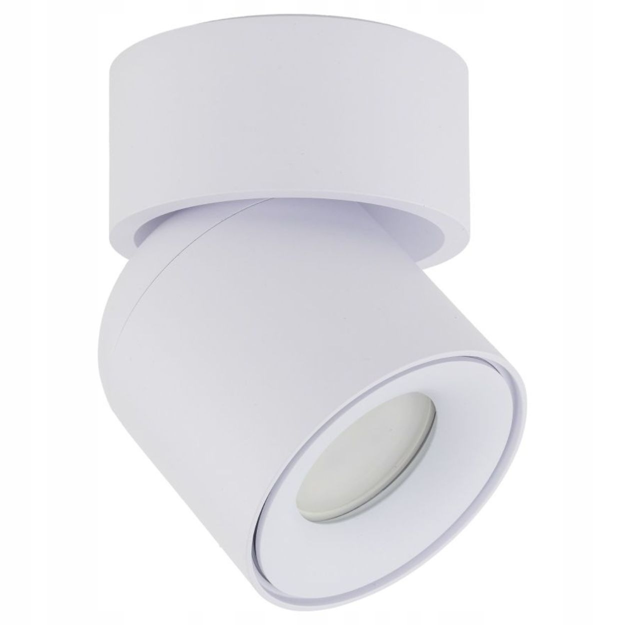 Stropní svítidlo Spot Twist bílá 1xGU10 Vnější Vnitřní Bodová IP65