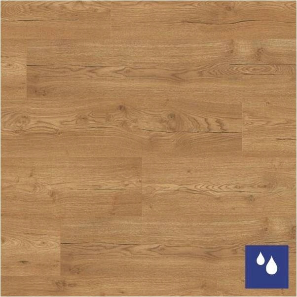 Panele Podłogowe Dąb Olchon Miodowy AC4 2.54m2 Rodzaj panele laminowane