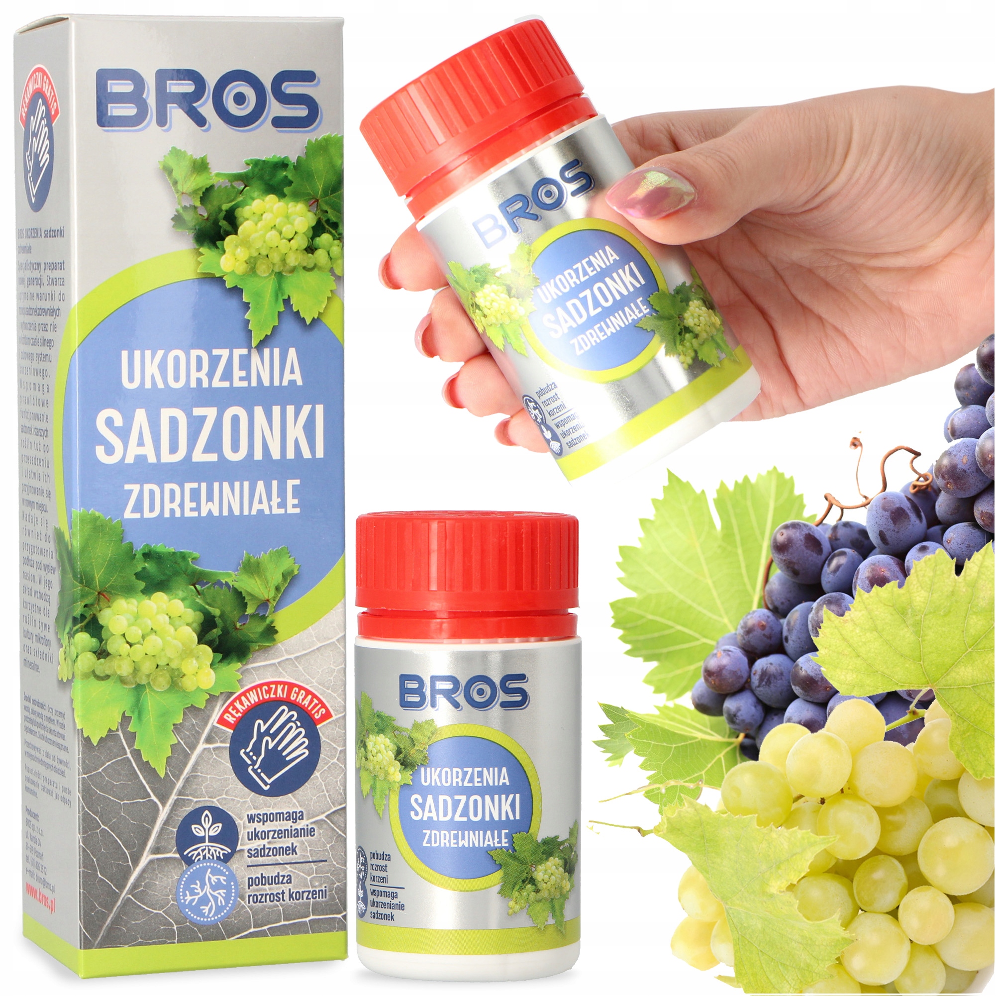 

Ukorzeniacz Roślin Kwiatów Sadzonek Zdrewniałych
