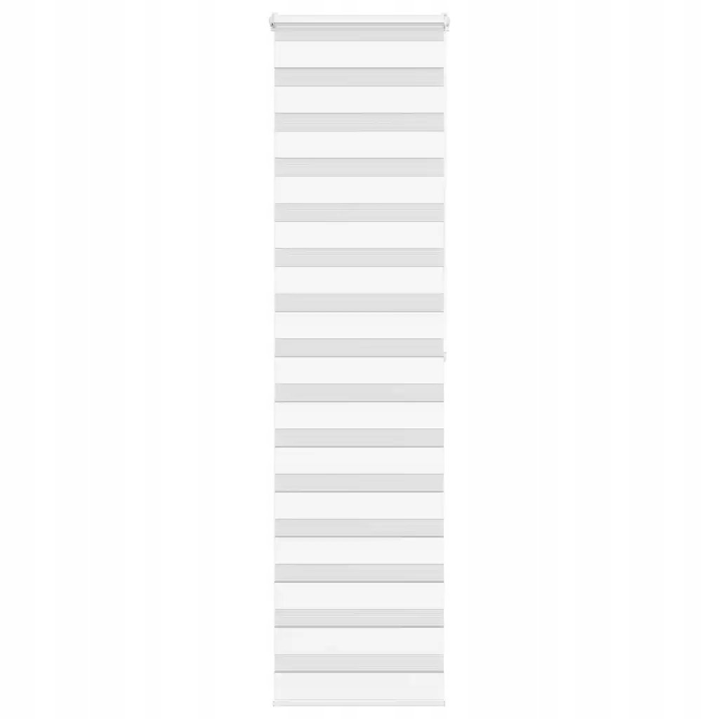 Zebra roleta bílá 65x200 cm šířka látky 60,9 cm polyester Bílá 4014774
