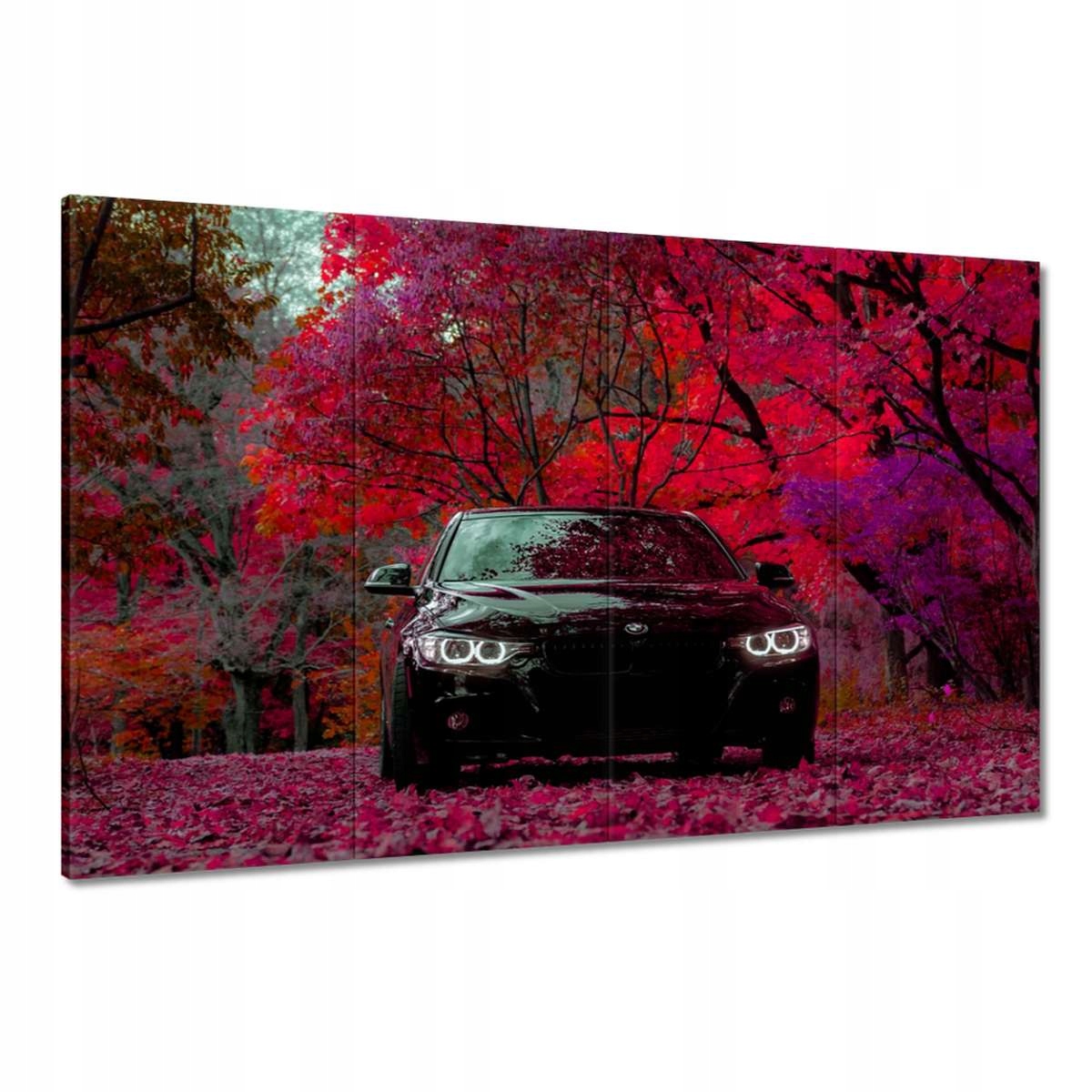 Obrazy 120x80 Černé Bmw Podzim