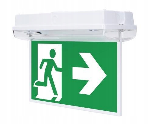 Zestaw DS do ORION LED 100 Intelight