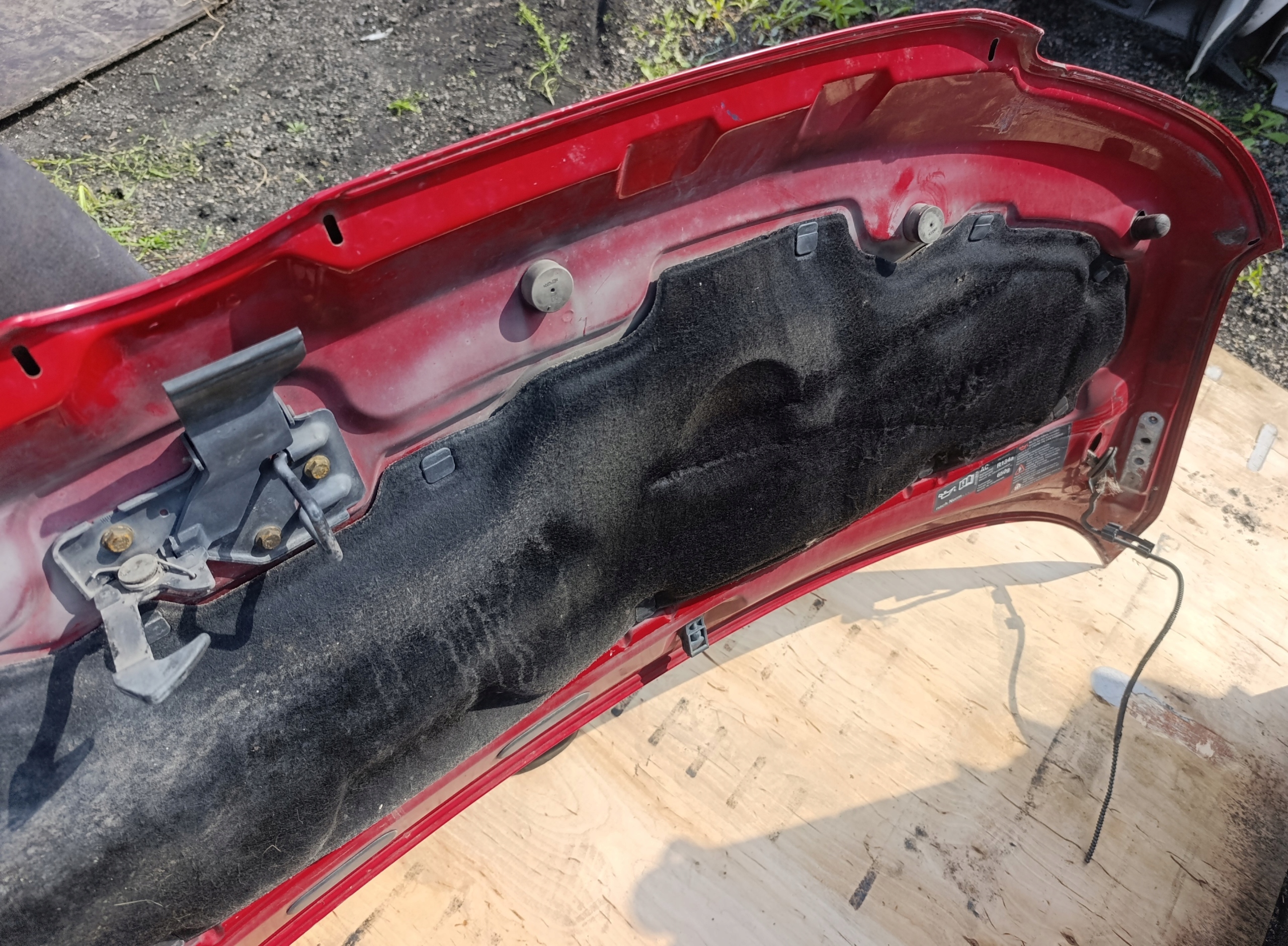 VW T5 bonnet red