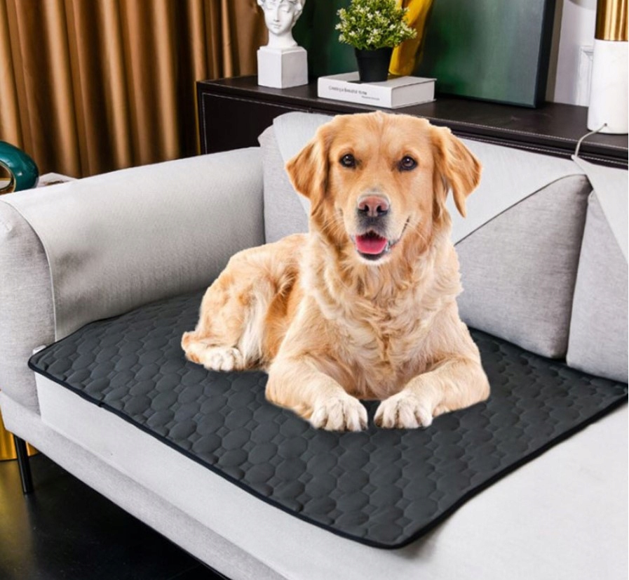 Mata Higieniczna Podkład Wielorazowy Dla Psa 50X36 2163