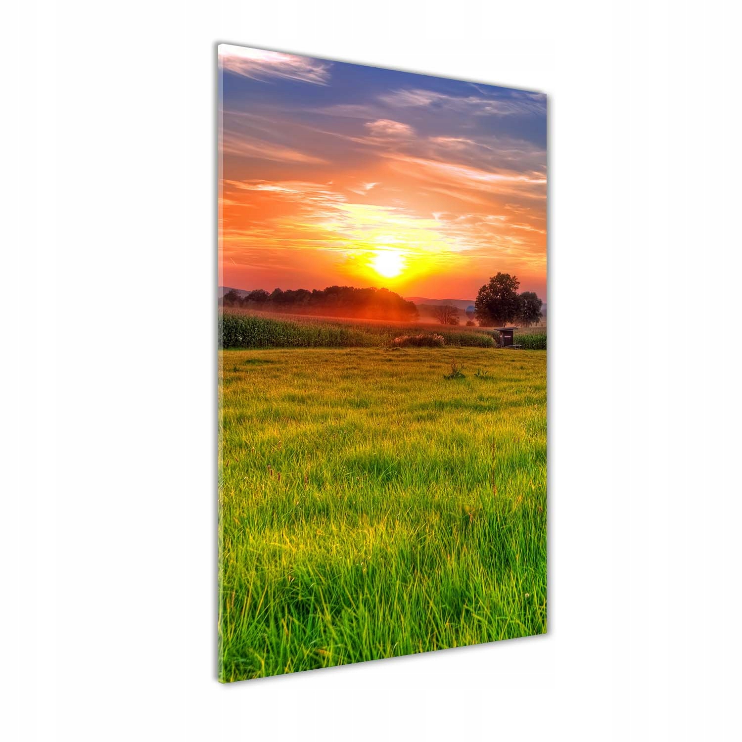 Akrylový obraz do obývacího pokoje Západ slunce 70x140