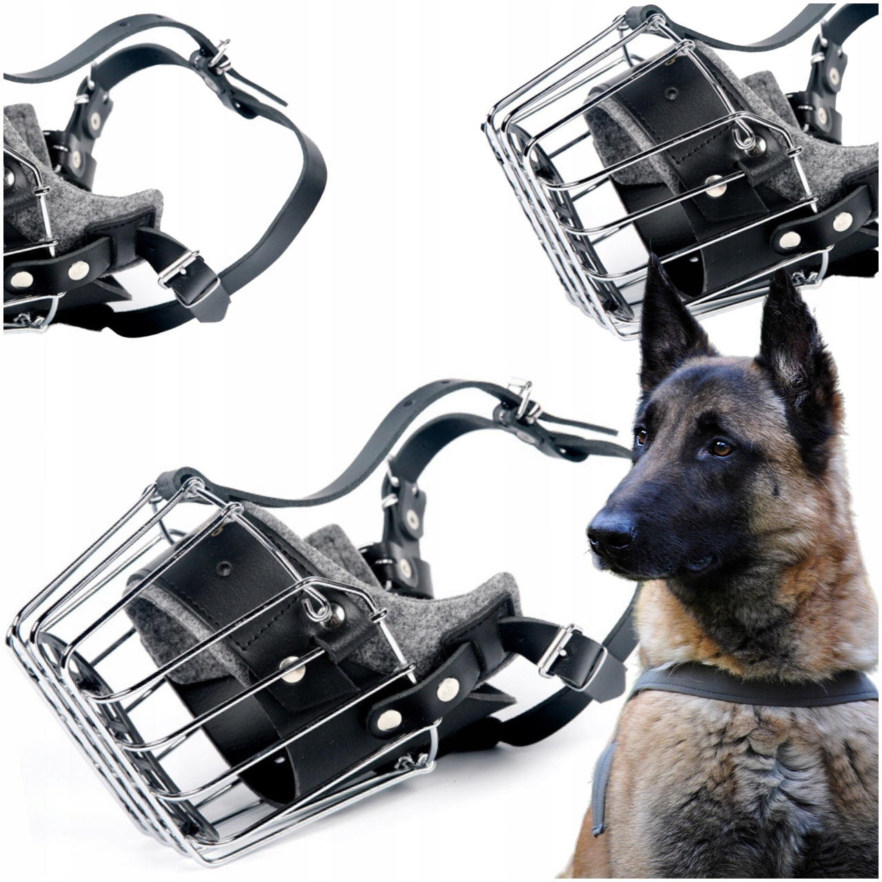 Kaganiec Dla Psa Metalowy Wzmocniony Obwód 28CM L Dingo Owczarek Niemiecki-Zdjęcie-0
