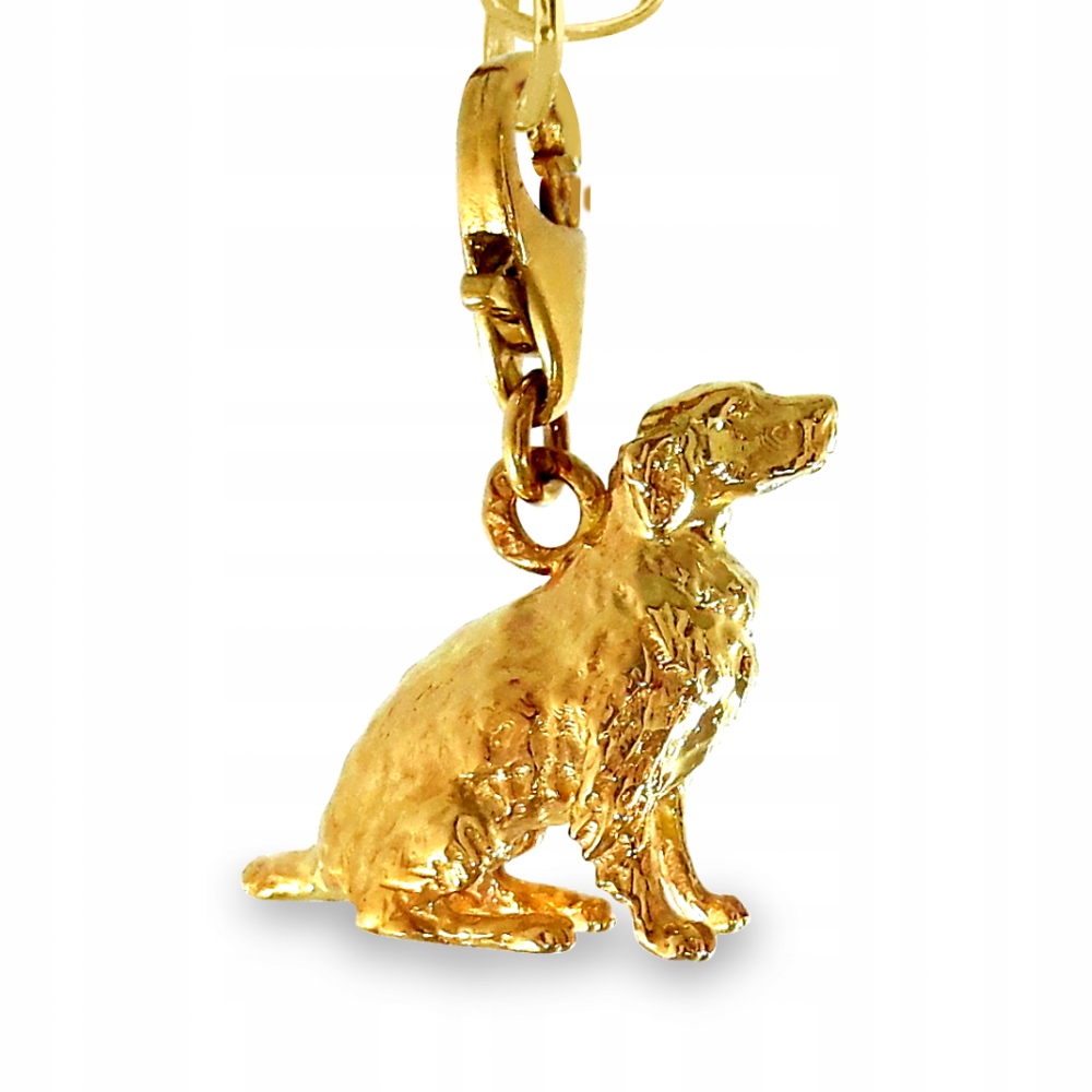 CHARMS PIES GOLDEN RETRIEVER PIESEK ZŁOTO PR. 333 Marka Deem