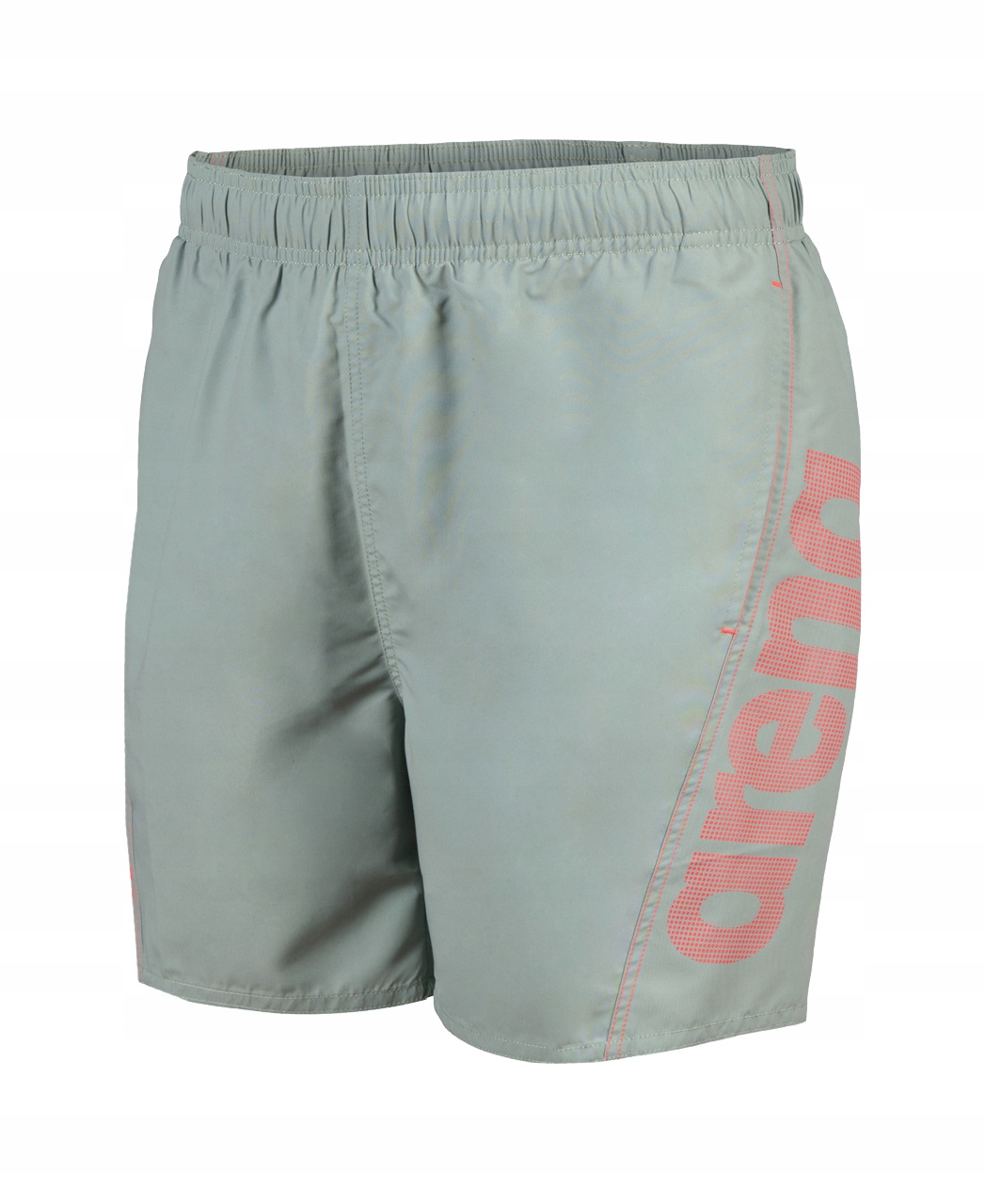 Spodenki Arena Fundamentals Logo Boxer S