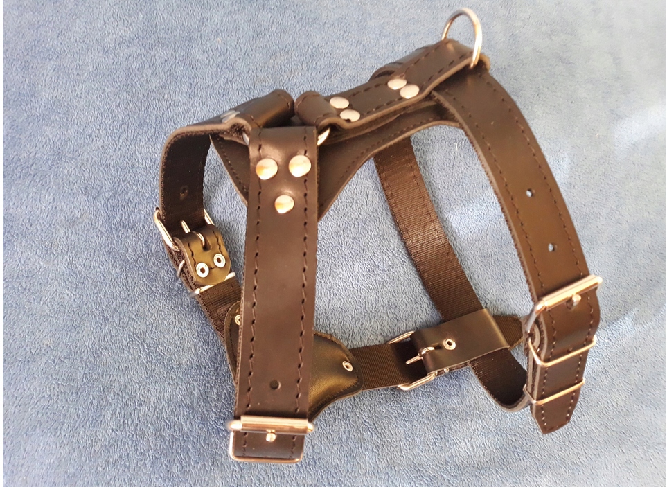 Szelki Mocne Skórzane Regulowane Na Wymiar!