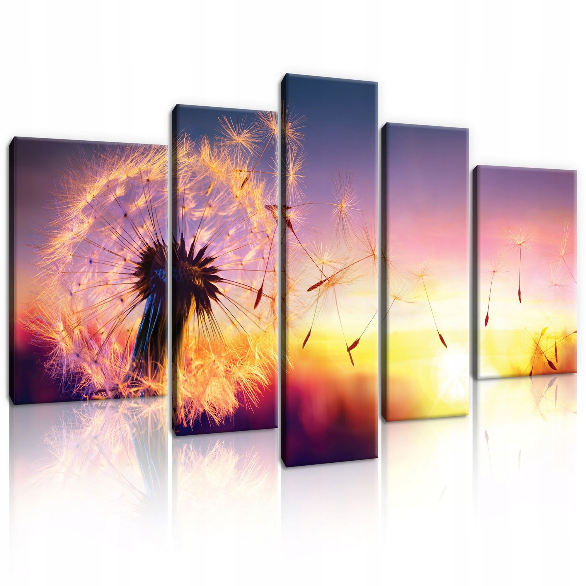 Obraz 170x100 Pampeliška lékařská semena západ slunce let příroda klid