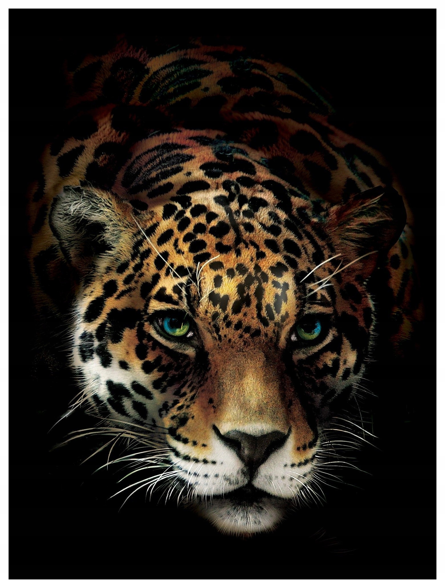 Fototapeta Tygr divoká příroda moc a půvab zvířete 206x275 lepidlo