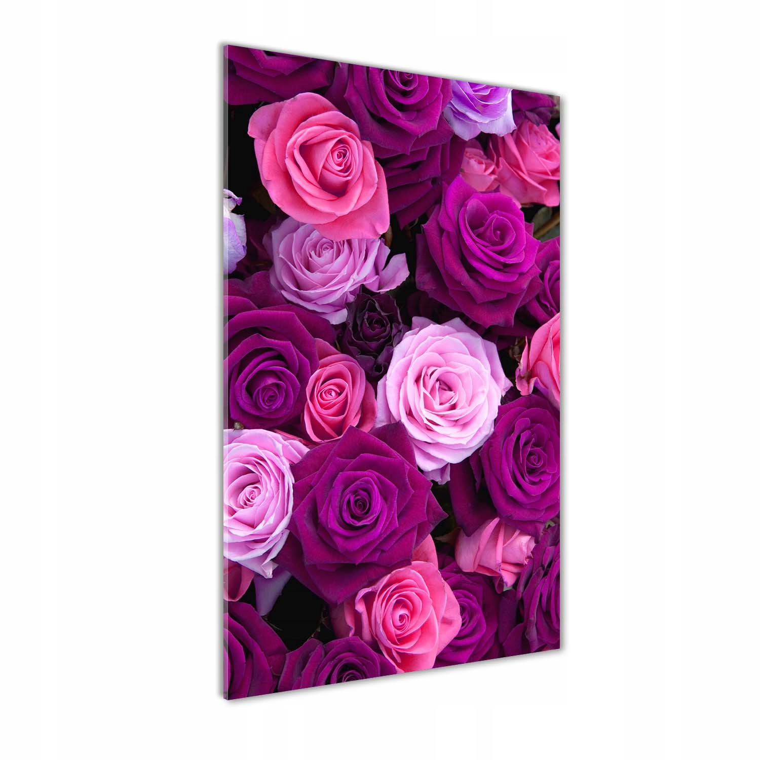 

Nowoczesny fotoobraz akrylowy Różowe róże 60x120cm